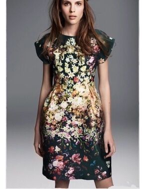 Hobbs Antonia Floral Silk Dress